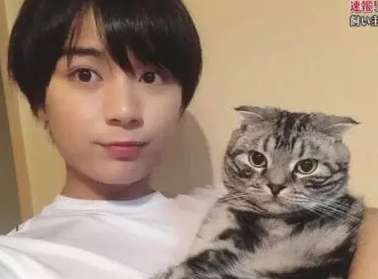 大西流星 家族構成 父親 母親 姉 猫 ペット